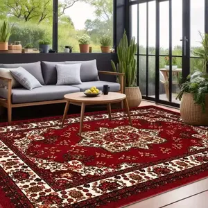 Velvet Rug 800g/m² Anti-Slip Bottom, Classic Pattern Carpet for Home Decor, Living Room Sofa Mat, Bedroom Outdoor Rug, Multiple Sizes Available