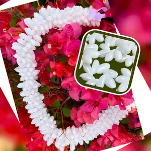 Hawaiian Store Genuine Bubble Shell Haku Lei, Headband or Rosettes