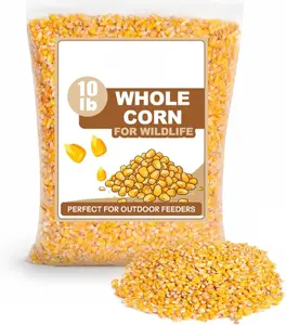 Whole Corn 10 LB– Premium Bird Seed & Wildlife Feed for Ducks, Deer, Squirrels, Chickens, and Turkeys – Grown in USA
