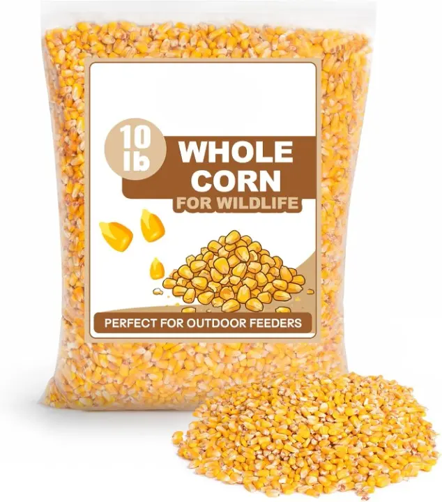 10 LB Bag Nutritious Natural Whole Corn Bird Food - Premium Quality USA-Grown Feed for Ducks-Deer, Universal Wildlife Supply for All Ages Pets, Das-Default Compatible