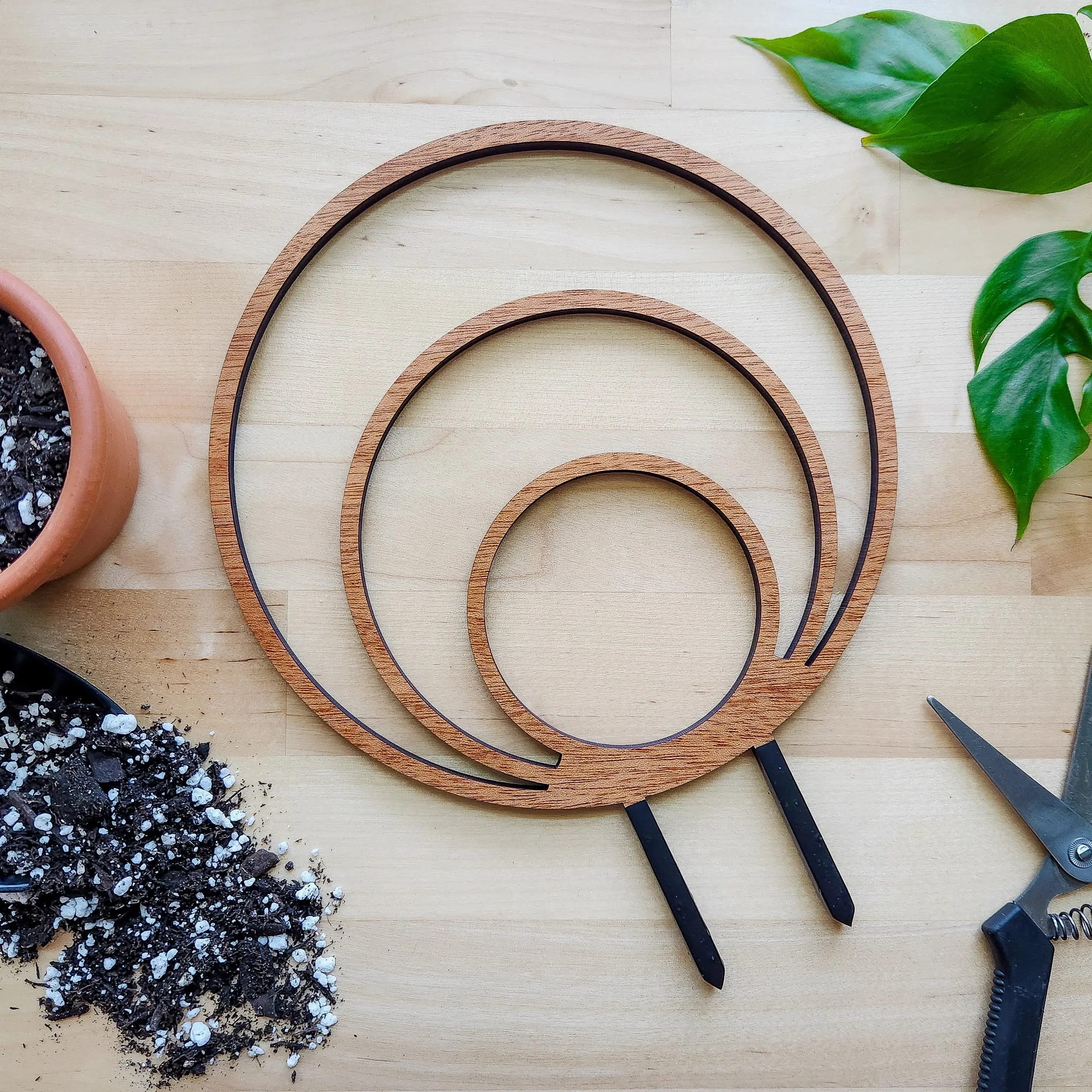 Round Circle Indoor Plant Trellis - Triple Hoop (Wooden)