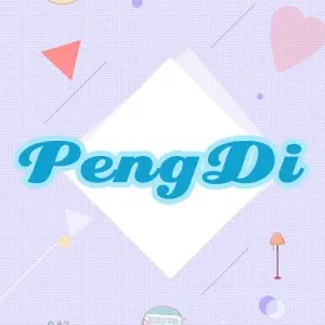 PengDi Trading shop logo