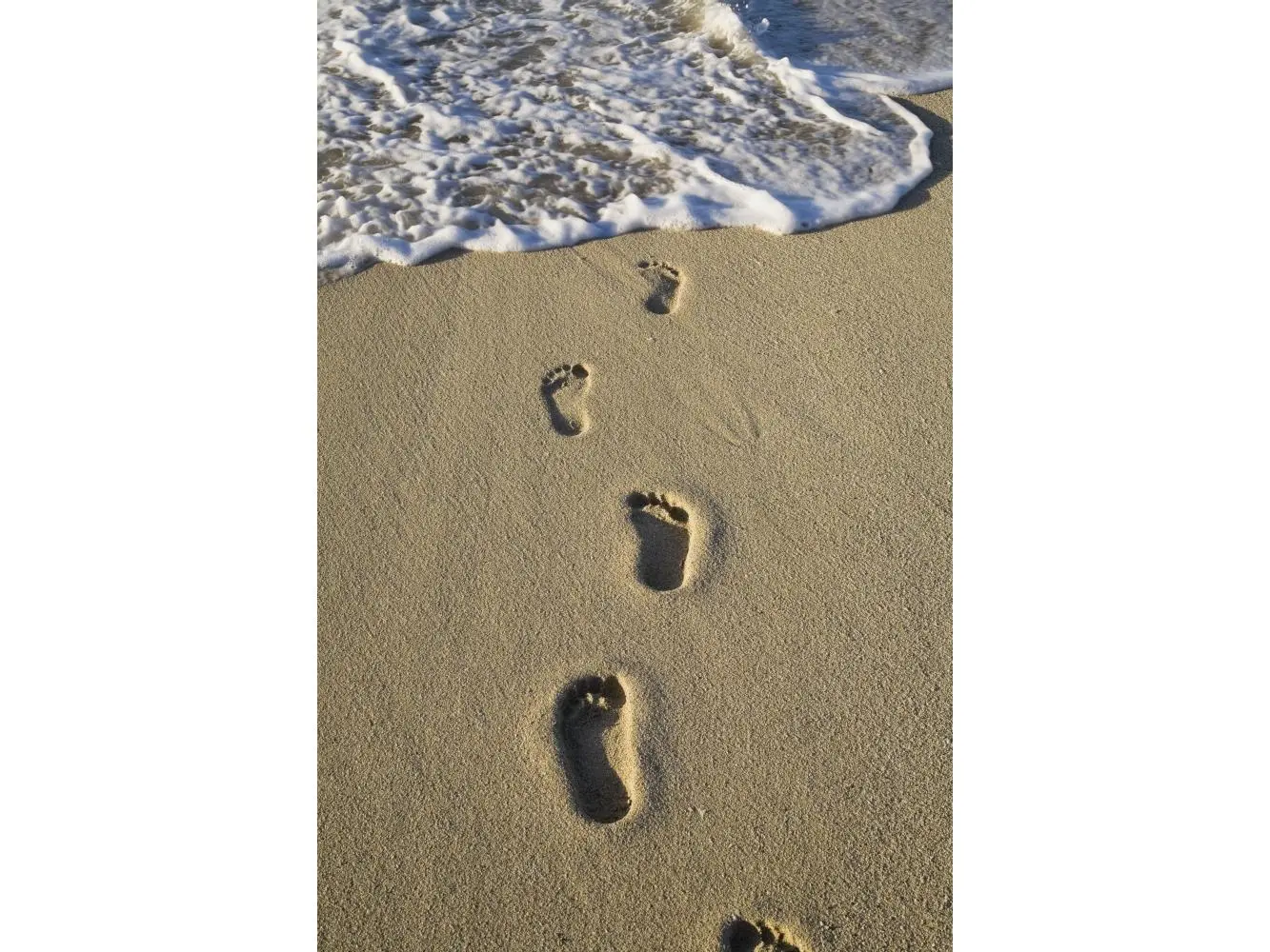Posterazzi DPI1854154 Footprints in The Sand Poster Print, 12 x 19