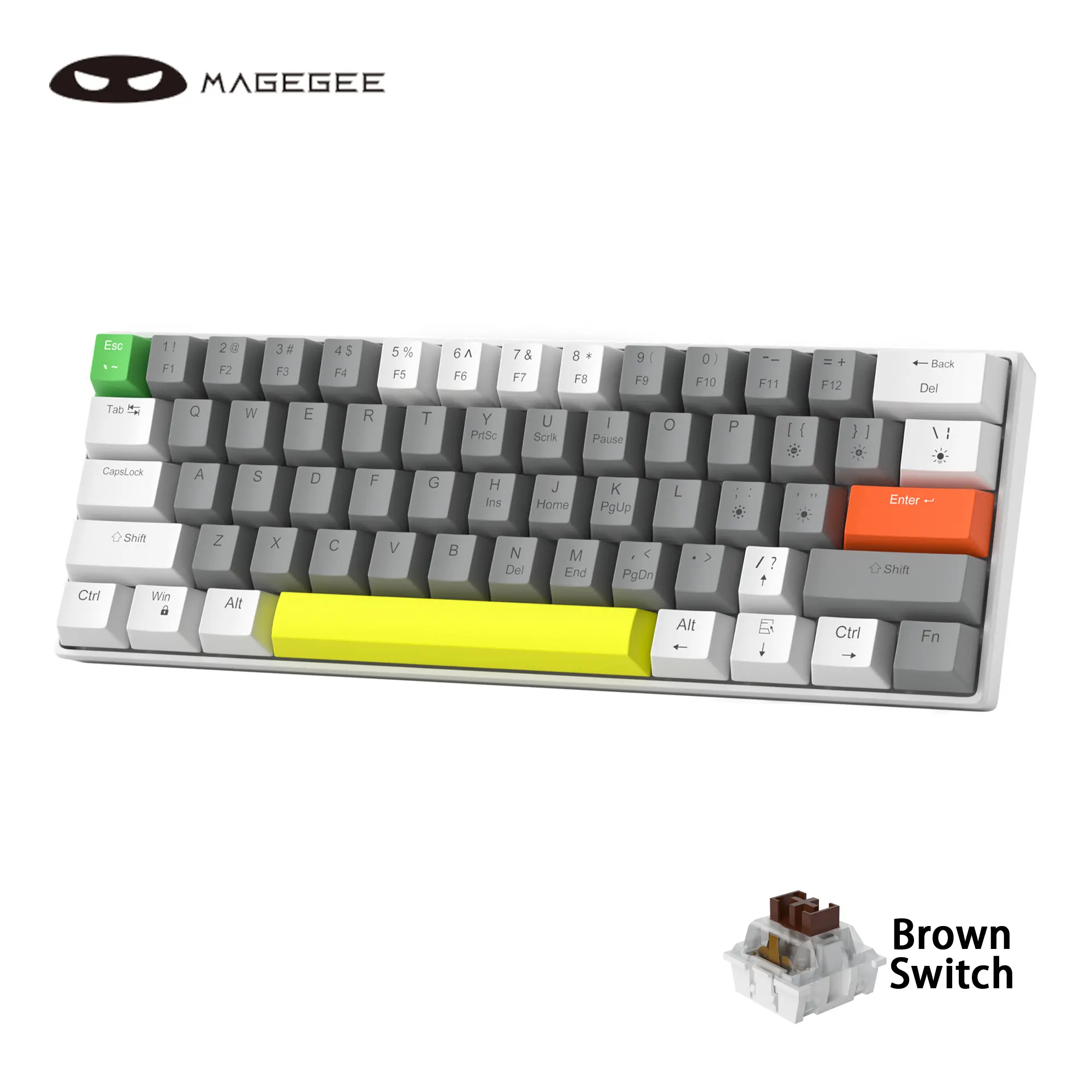 White Grey-Brown Switch