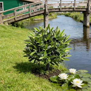 1 Pc/2 Pcs 23.6-inch garden ornamental ground inserts, olive tree ground inserts, artificial plants, decorative artificial plants, Garden Decorations, perfect for indoor and outdoor decoration such as porch garden terraces, garden porches, etc.