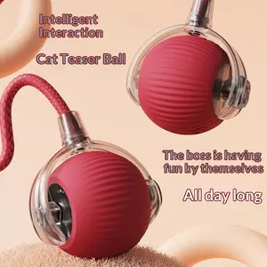 smart cat toy automatic cat ball grinding teeth bite-resistant pet ball dog toy pet rolling ball