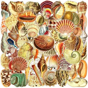 50pcs Retro Seashell Graffiti Transparent PET Material Graffiti Stickers - Suitable for Luggage, Phone Cases, Laptops, Helmets, Skateboards, Waterproof Decorative DIY Creative Stickers