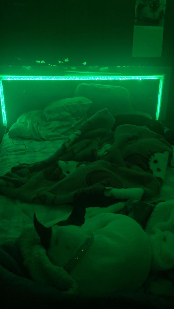 Item: Queen Size Pink