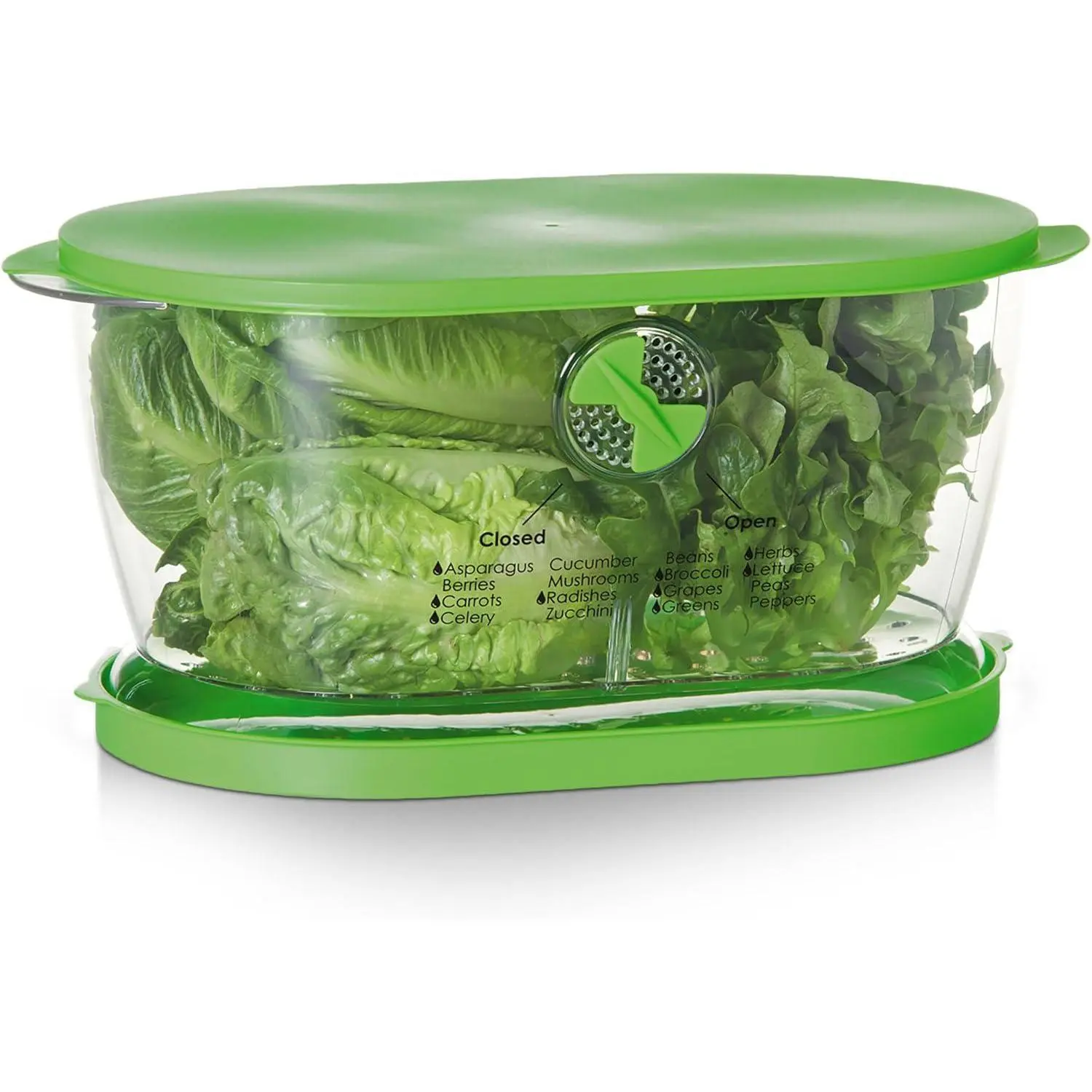 Prep Solutions by Lettuce Keeper 4.7 Quarts Green Prep Solutions by Lettuce Keeper 4.7 Quarts Green