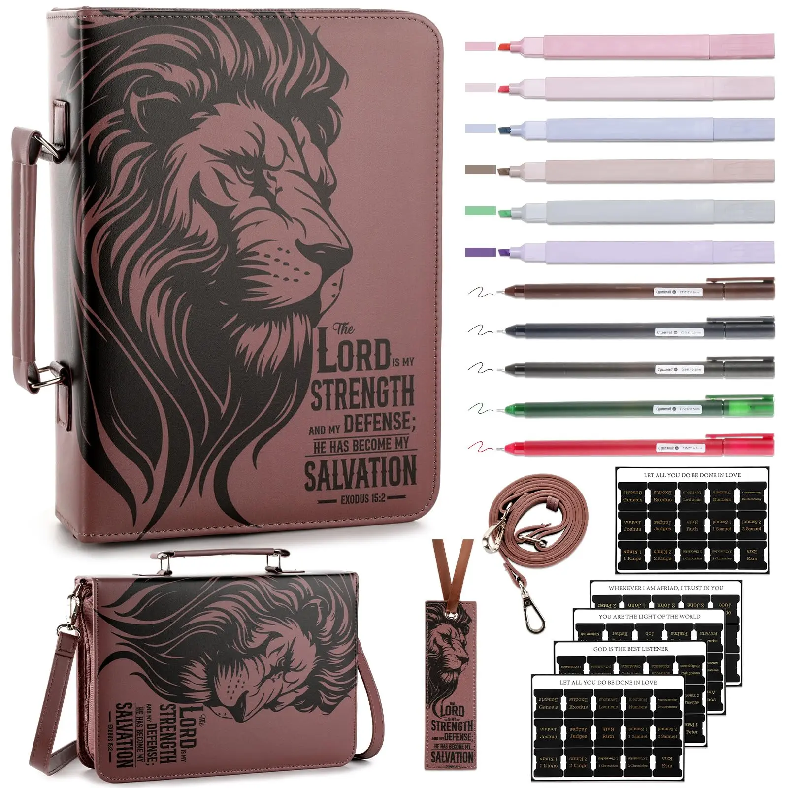 The Lord is My Strength Lion