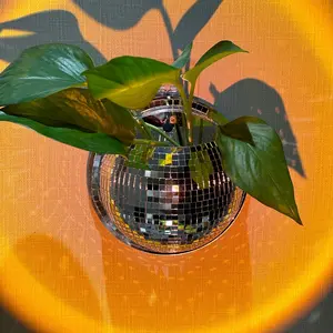 Wall-Mounted Disco Vase, Mirror Creative Hydroponic Pot, Wall-Hanging Decorative Planter, Flashing Mirror Refraction, Ideal for Bedroom, Balcony, Living Room, Entryway