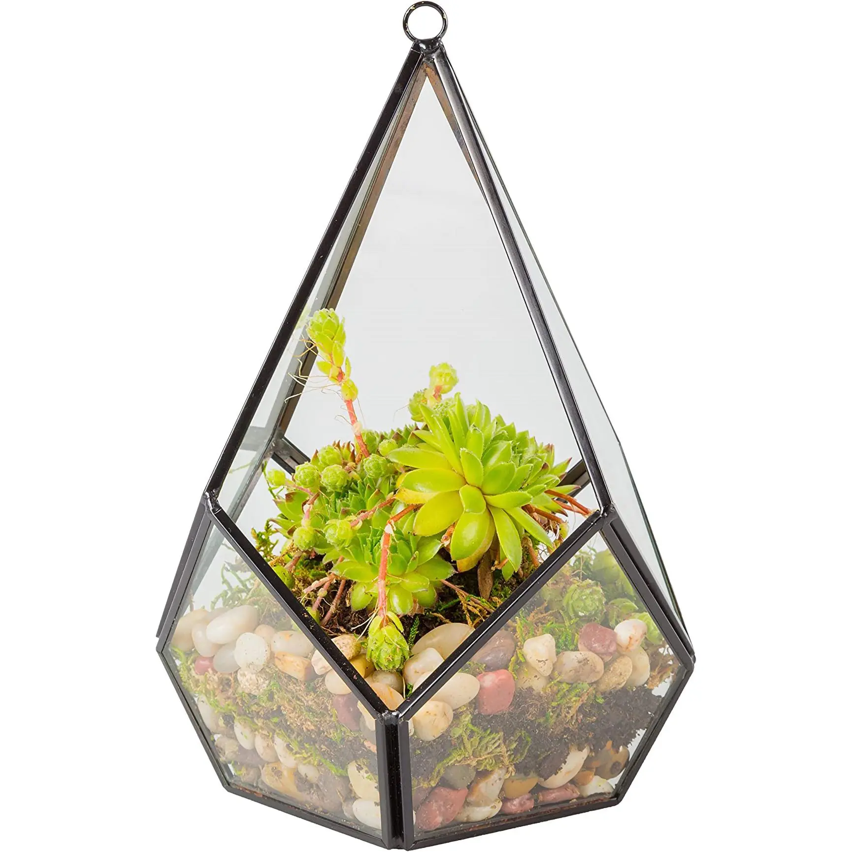 D'Eco Glass Geometric Plant Terrarium, Tabletop & Hanging Teardrop Planter- Home, Garden, Wedding & Office Decor- Gift for Plant Lovers & Mother's Day