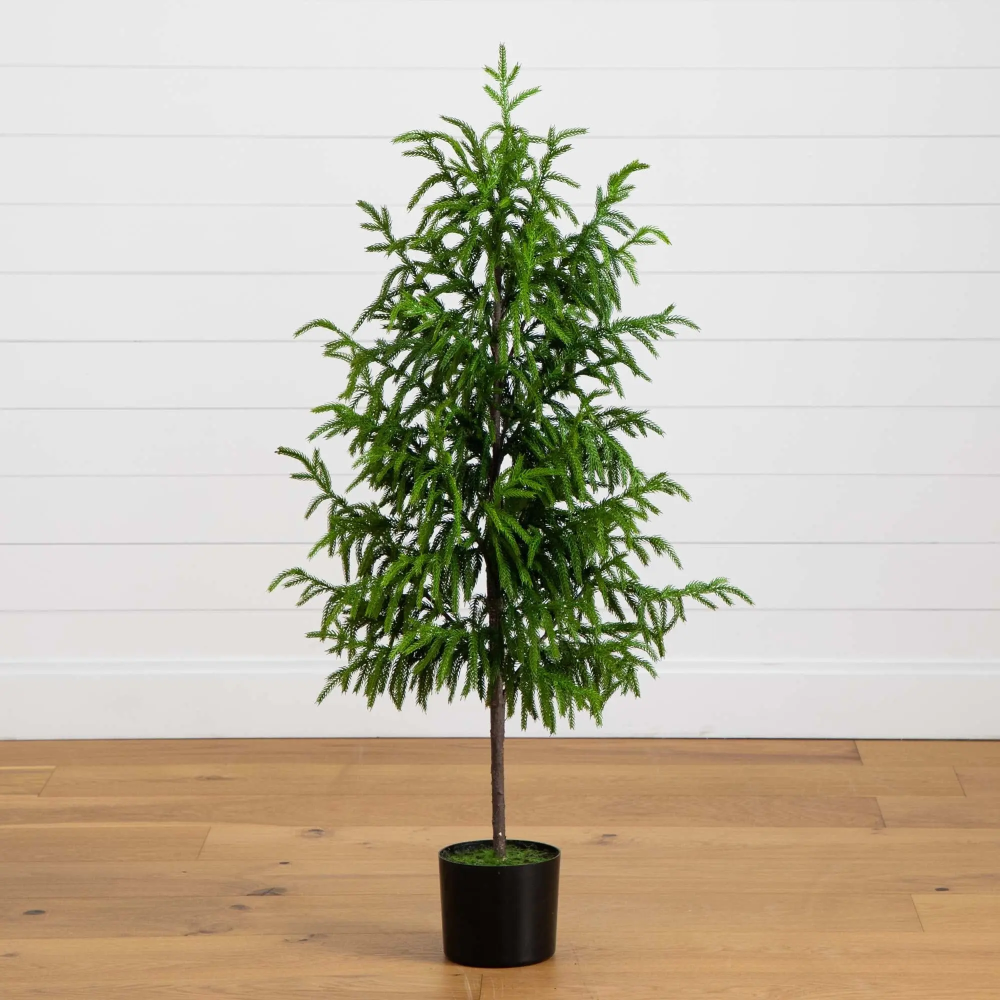 4' Synthetic Norfolk Pine Tree - Decorative Single Unit with Fairy Lights, Bendable Branches, Ribbon, for Nursery Planter & Outdoor Home Accent Floor Decor