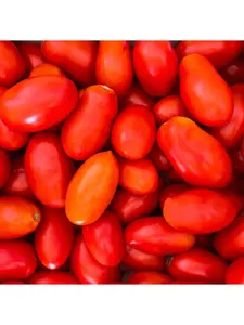 San Marzano Tomato Seeds home planting