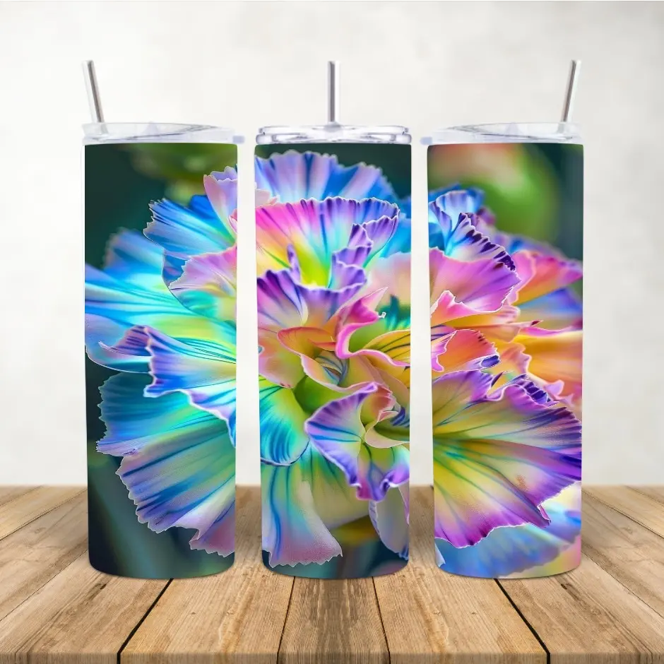 20oz Skinny Insulated Stainless Steel Water Bottle - BPA-Free Printed Rainbow Kitchenware Drinkware Tumbler with Lid, Reusable Straw, Portable Plastic-Free Design for Indoor Use