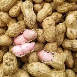 Non-GMO Heirloom Peanut Veggie Seeds for Planting - High Germination Rate, Suitable for Indoor and Outdoor Vegetable Garden Growing