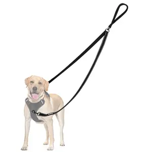 PetBonus Two Point Control Dog Leash, Works with No Pull Harnesses, No Tangle Training Leashes, Soft Padded and Reflective Walking Lead, Converts to Single Lead for Medium Large Dogs