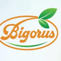 Bigorus LLC