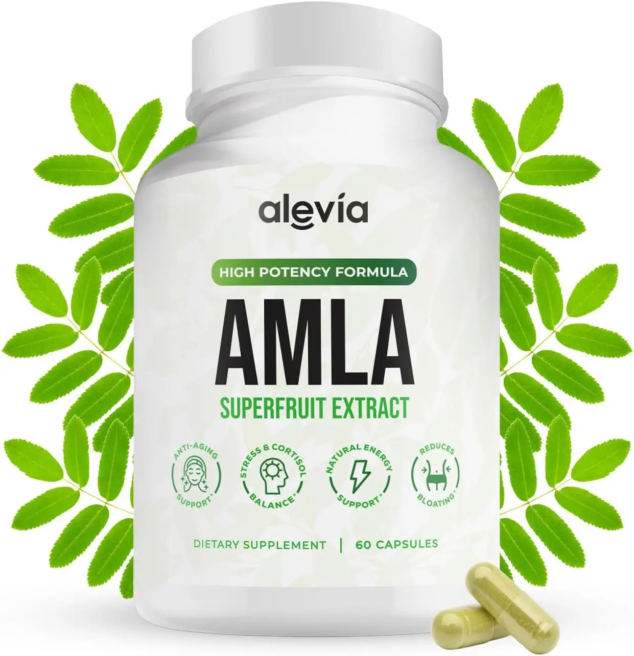 Organic Amla Capsules 1000mg – Indian Gooseberry Amla Fruit Supplement – Organic Amla Powder Organic for Antioxidant, Energy & Digestive Support – Ayurvedic Wellness Formula – 60 Capsules