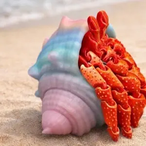 Hermit crab