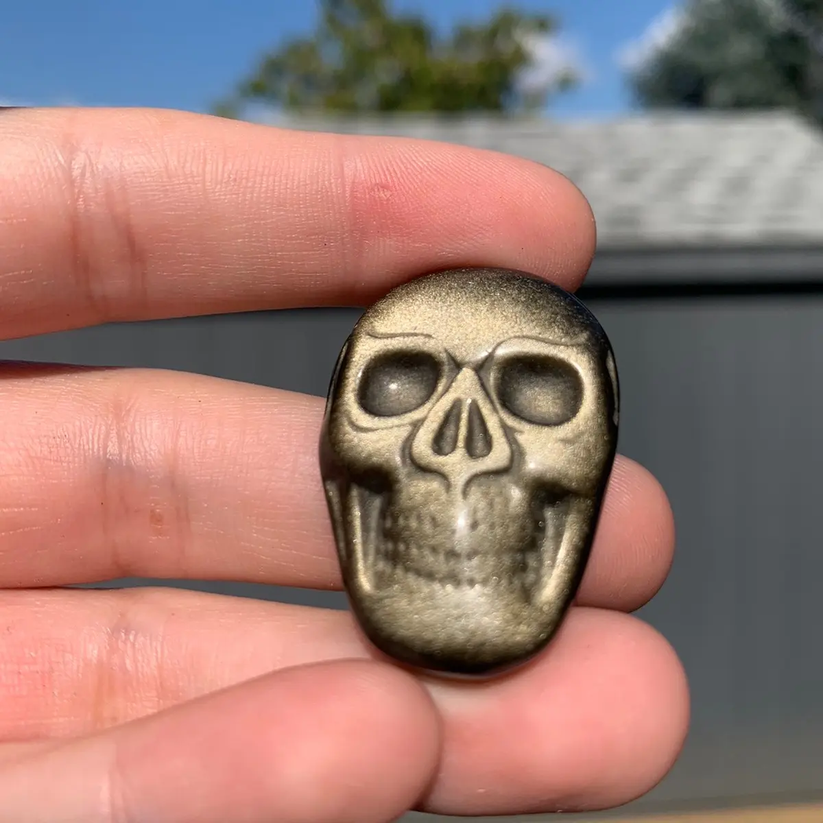 Golden Obsidian Skull Face Carving | Crystals, Halloween, Golden Sheen, Flash