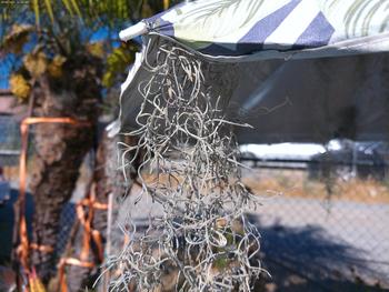 product review image from Kat Taylor Hopkins 0