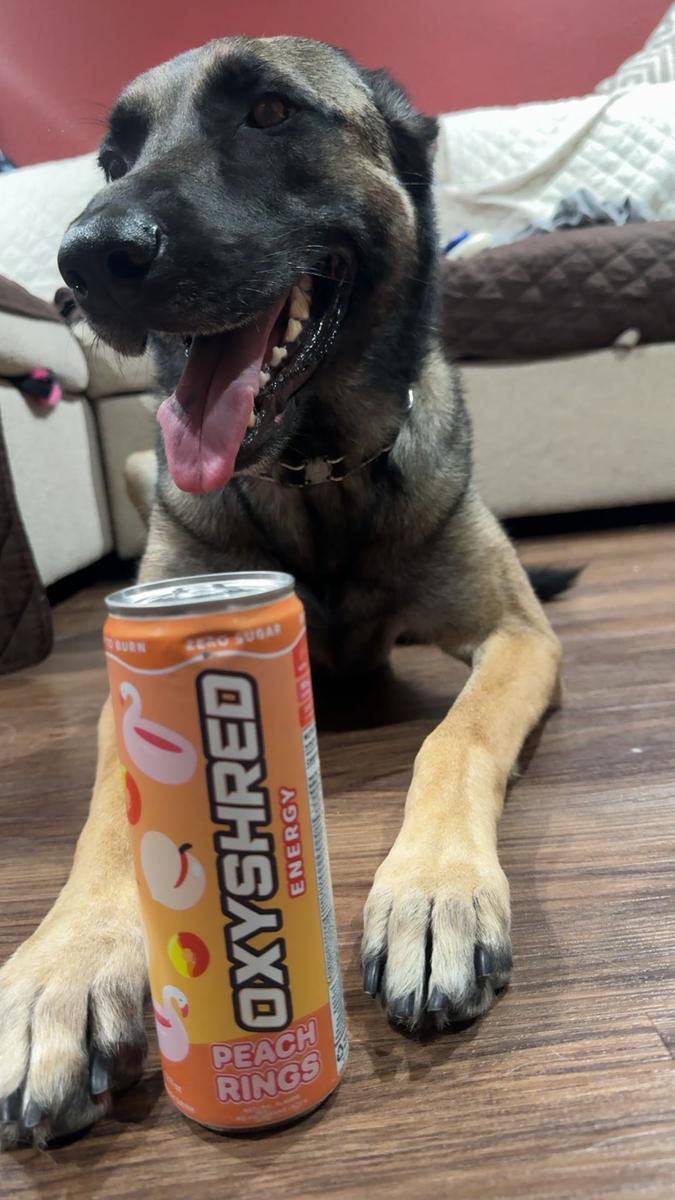 Item: Peach Candy Rings, 12 Pack