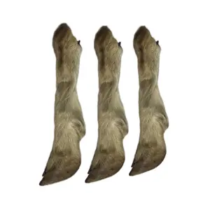 USA Lamb Leg Dog Chews (3 Pack) 100% Natural Dog Treats - Single-Ingredient and Loaded with Nutrients - Natural Scent - Supports Dental Health