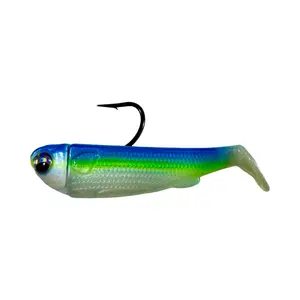 3'' Slide Baits Rigged