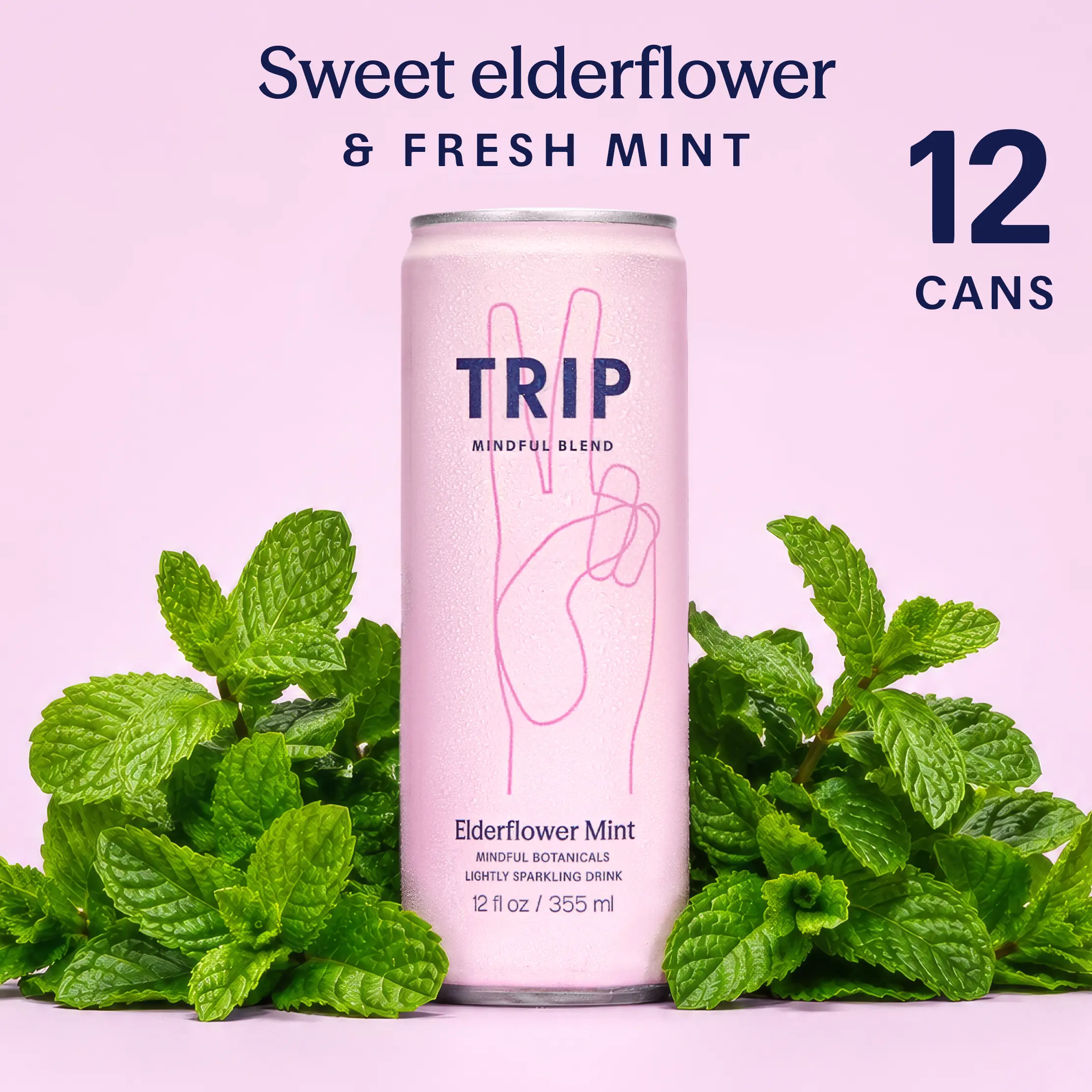 TRIP Elderflower Mint Magnesium Sparkling Drink — 120mg Magnesium, Ashwagandha, Lion's Mane, L-Theanine, Non-Alcoholic, Low Calorie, Vegan (12-Pack, 12oz)