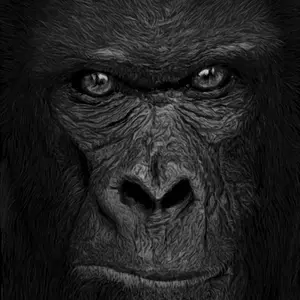 “King Kong” digital drawing of this beautifully gorilla. Canvas print.