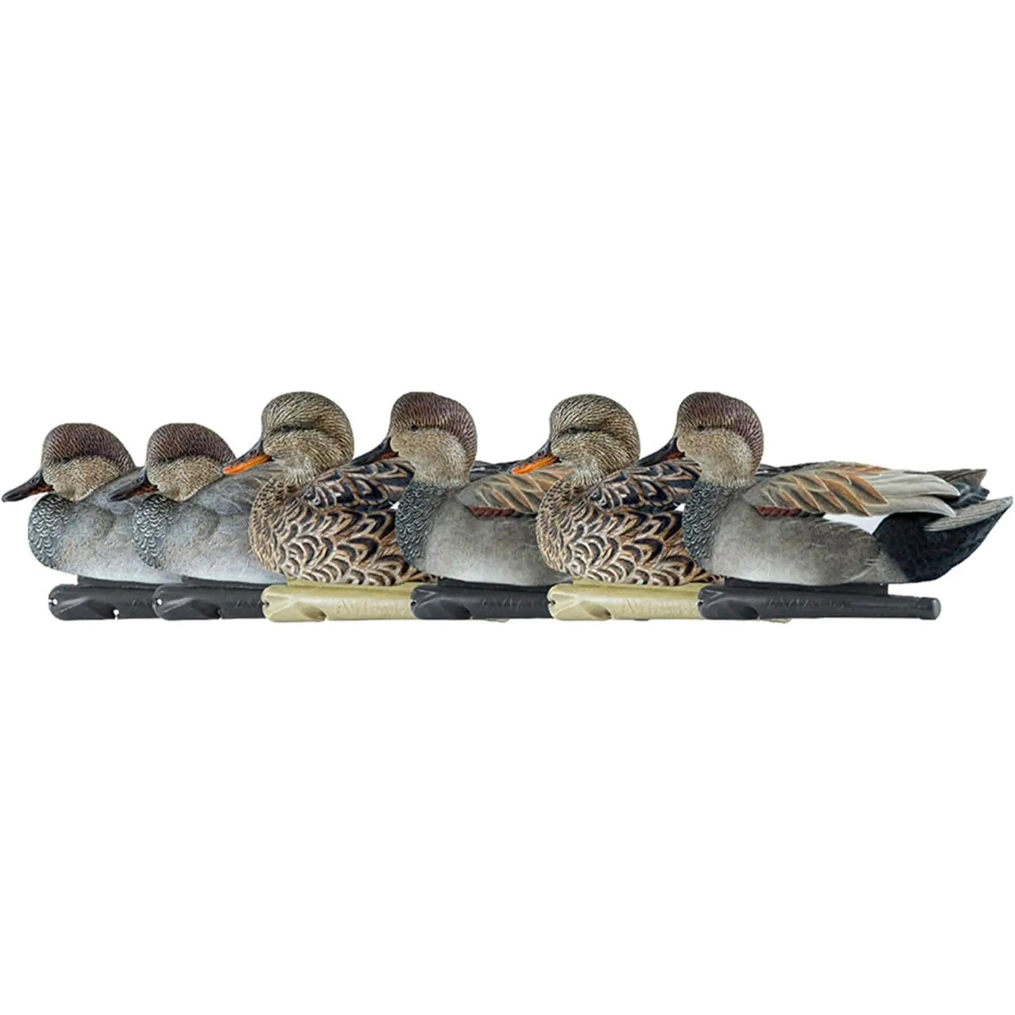 Avian X Topflight Gadwall Duck Decoys - Pack of 6 Floating, Weight-Forward, Late Season Duck Hunter Gear with Enhanced Coating Adhesion, Floating Decoys, Industry-Leading, Realistic Movement, Paint Schemes, Ultimate In Coating Adhesion