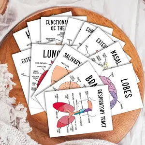 30 Human Anatomy Flashcards, Medical Staff Learning Guide, Nursing Mnemonics Cards, Anatomical Physiology Study Reference, Exam Prep, Visual Learning