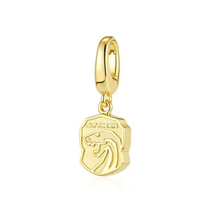 Harry Potter x FANCIME Slytherin Silver Charm