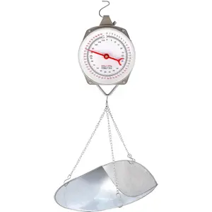 1 Set 110 lbs Large Display with Scoop Dial Weight Silver Industrial Scales for Shopping Traveling Food Produce Weighing