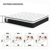 Panda Color  12 Inch #03 