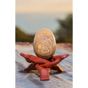 Picture Jasper/Quartzite "The Vision Stone" - GIA certified