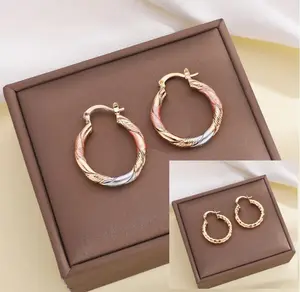 woman jewelry accessory 2 Pairs of New 2025 Distorted Design Exquisite Earrings, Retro and Bohemian Style, Fashionable Women's Accessories