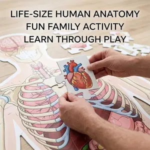 Huge 100-Piece Human Body Floor Jigsaw Puzzle for Kids, stands 4ft Tall! Realistic and Detailed Medical Illustrations that Connect to Form a Life-Size Human Anatomy Model. Fun Educational Game for Families and Classrooms, perfect for Young Biology Lovers!