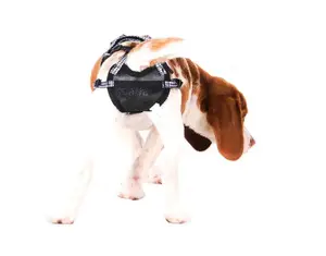 PABS® Delay Her SpayTM Dog Breeding-Prevention Harness