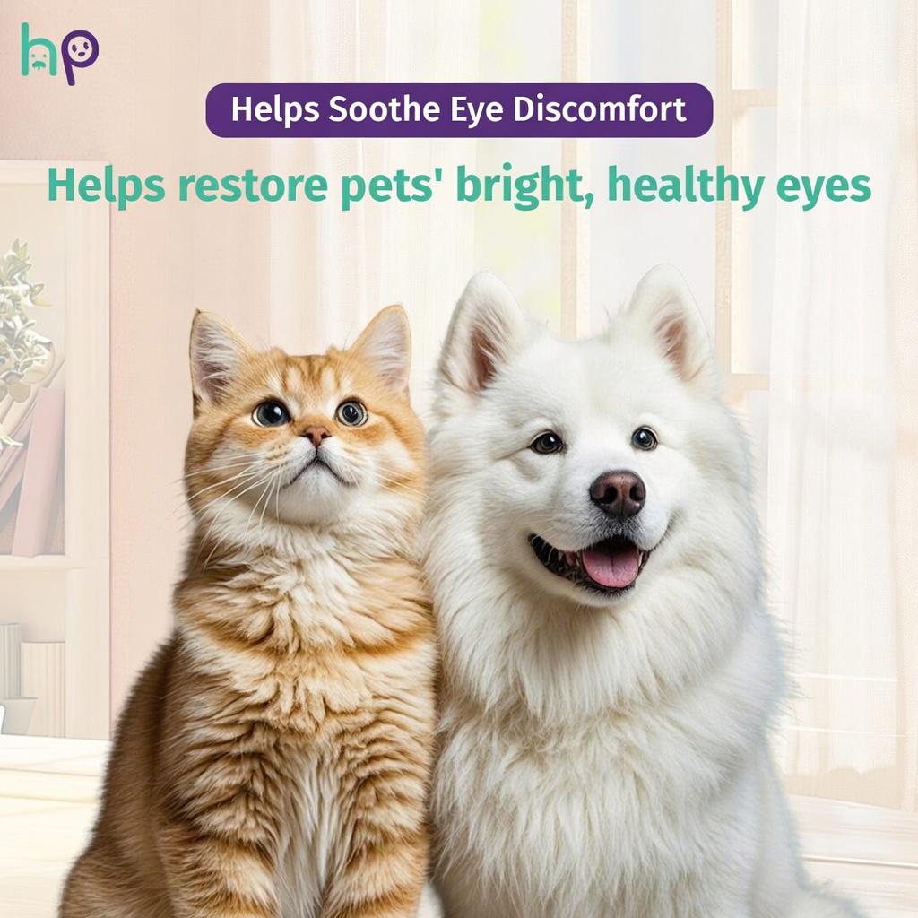 Cat receiving gentle eye care