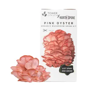 Organic Pink Oyster ‘Spray & Grow’ Mushroom Growing Kit
