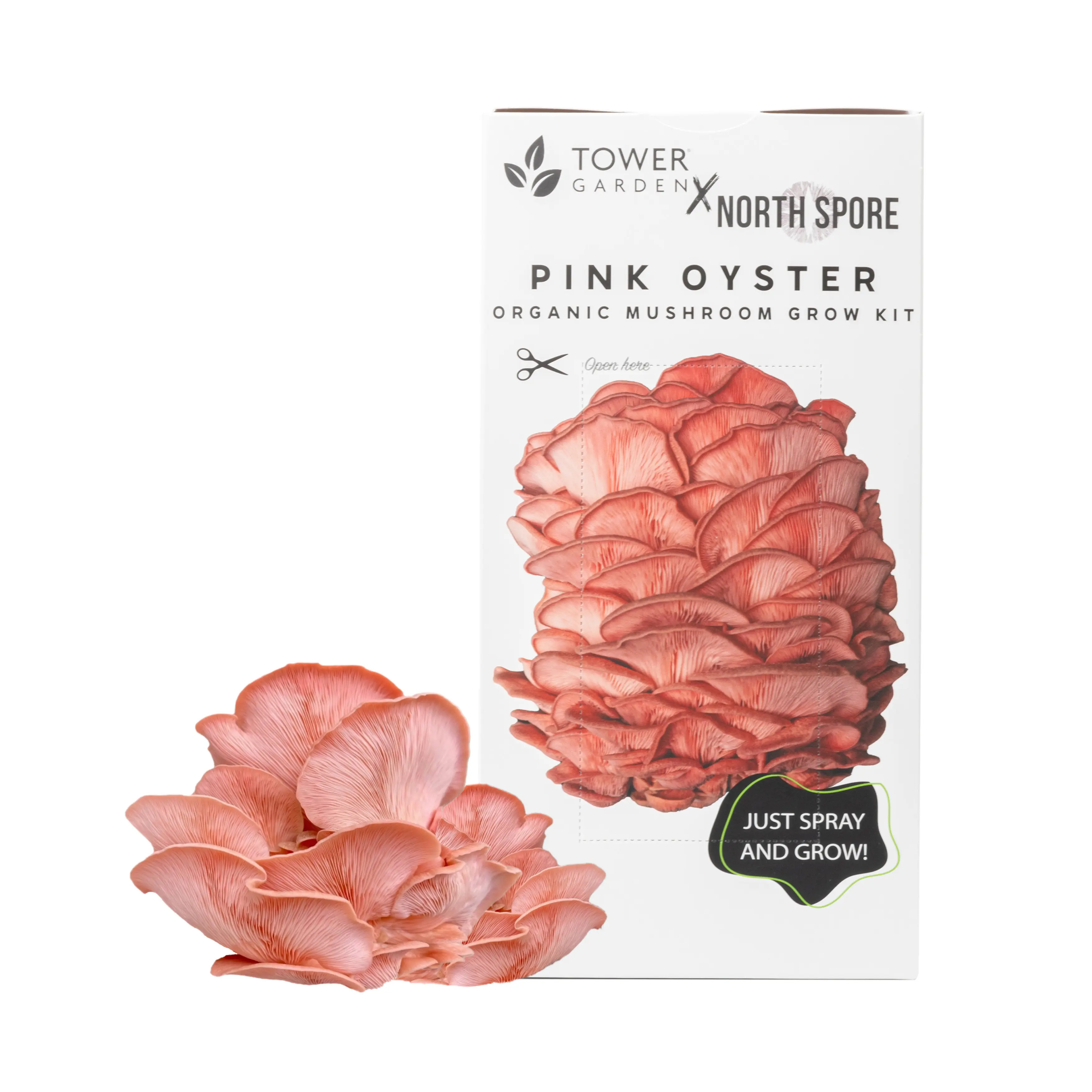 Organic Pink Oyster ‘Spray & Grow’ Mushroom Growing Kit