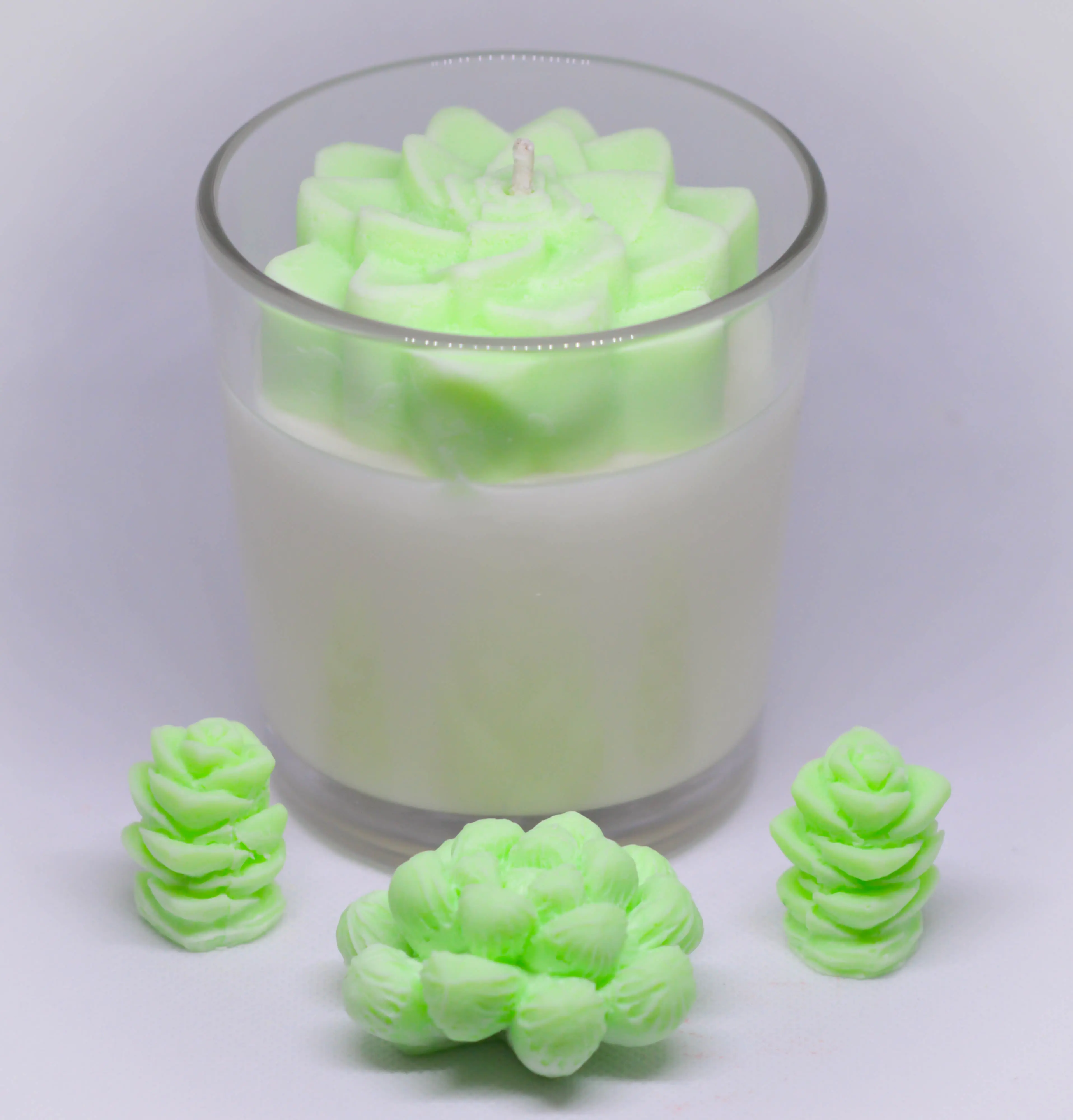 Succulent Candle