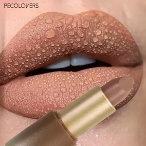 1PC Brown Lipstick, Matte, Long-lasting, Red and Nude, Non-stick Lipstick, Suitable for All Skin Types