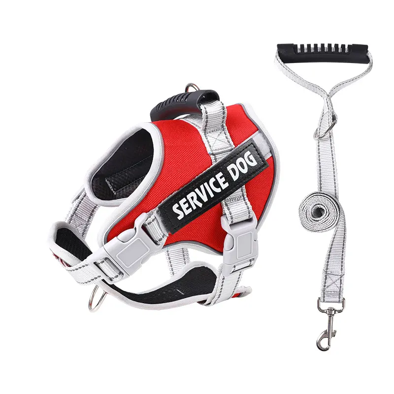 Big Red [Harness + Leash]