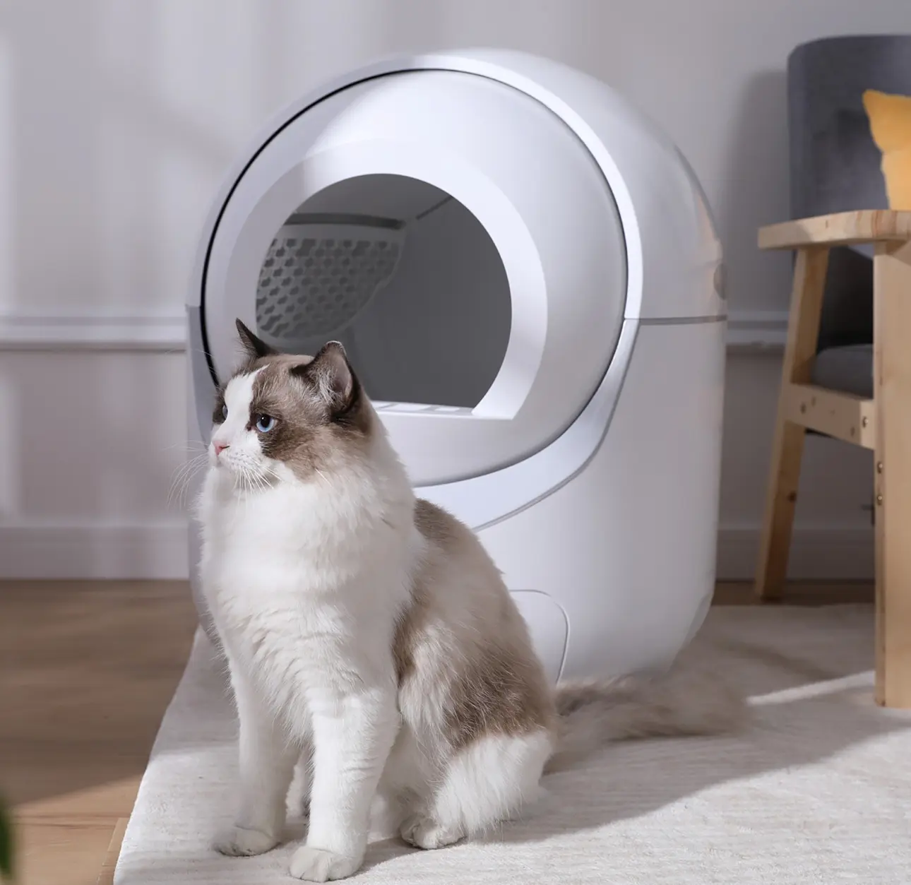 Brand new and original Smart cat litter box Self Cleaning, No Scooping Automatic Litter Box