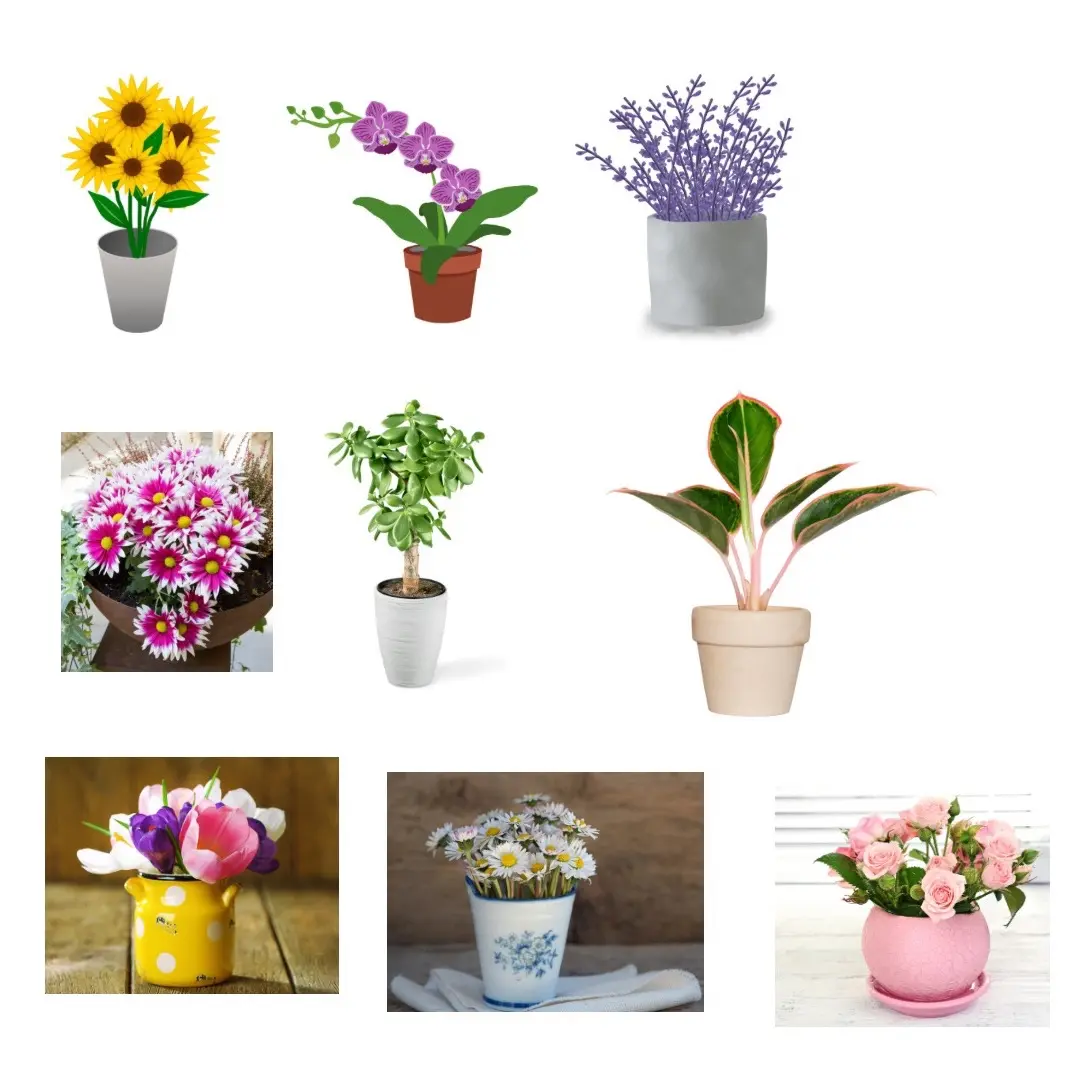 Succulent sticker pack, plant stickers, realistic plant stickers