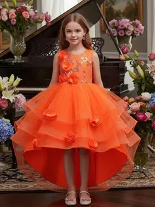 Girl's Floral Decor Tulle Dress, Tulle Overlay Dress, Elegant Sleeveless Round Neck A Line Dress for Party Performance Wedding Guest, Kids Clothes for All Seasons