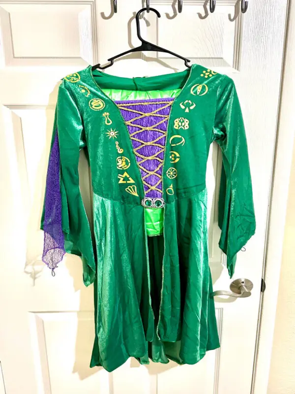 Hocus Pocus Winifred Sanderson Adult Costume Medium Comfort Dress